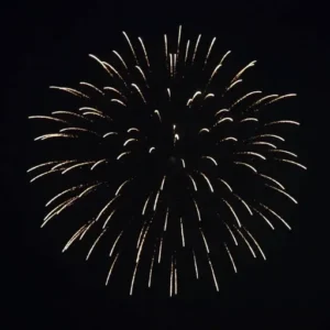 S-100-BR-01 professional firework effect