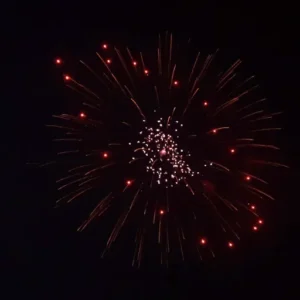 S-100-ROR-04 professional firework effect