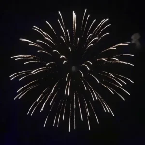 S-125-BR-01 professional firework effect